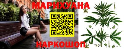 сатива Усть-Джегута